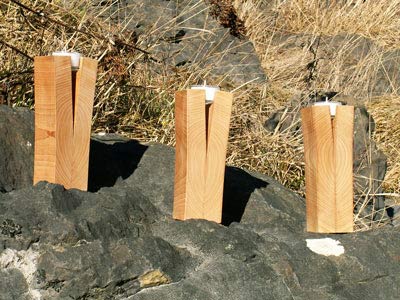 Kirsche geb&amp;uuml;rstet